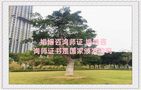 婚姻咨询师证 婚姻咨询师证书是国家颁发的吗